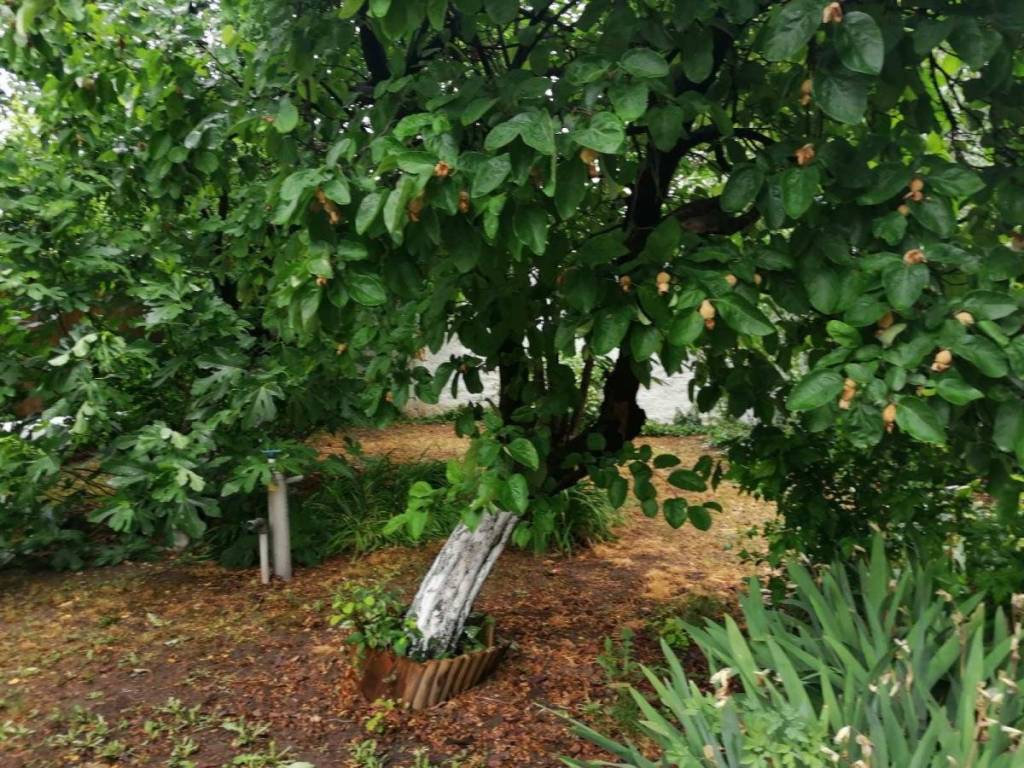 Foto 34