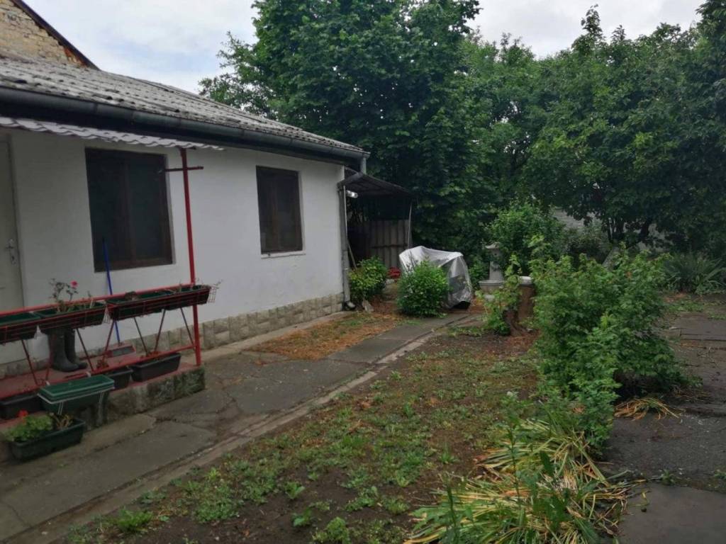 Foto 38