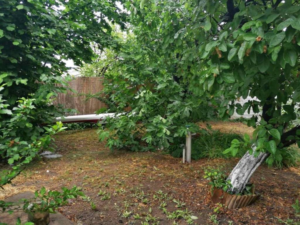 Foto 39