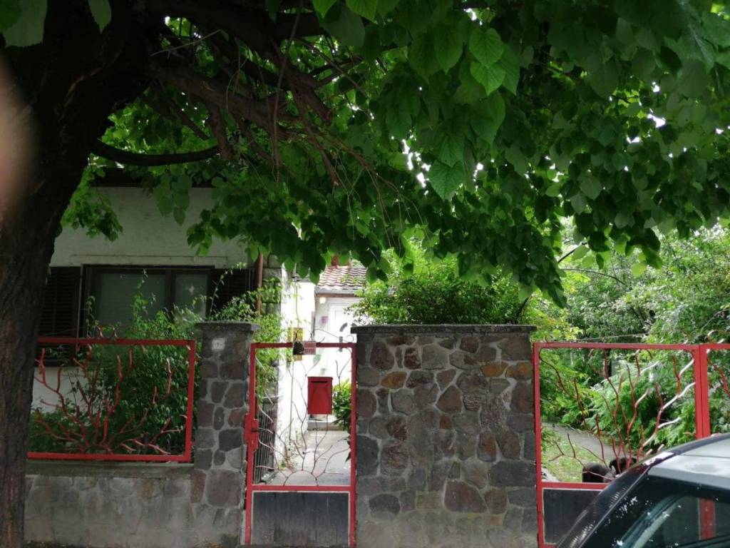 Foto 41