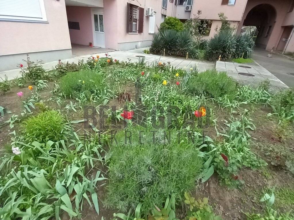 Foto 15