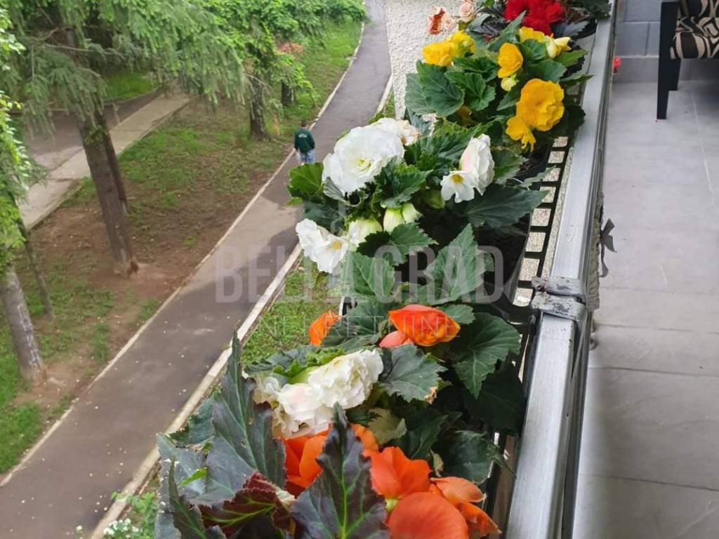 Foto 20