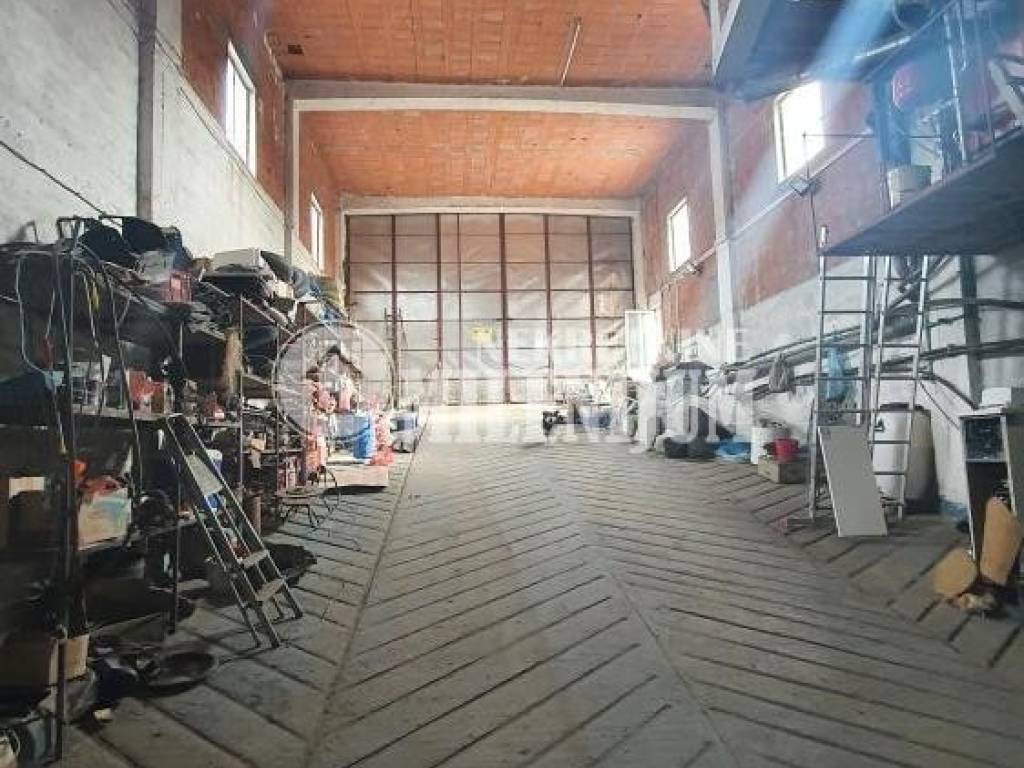 Foto 7