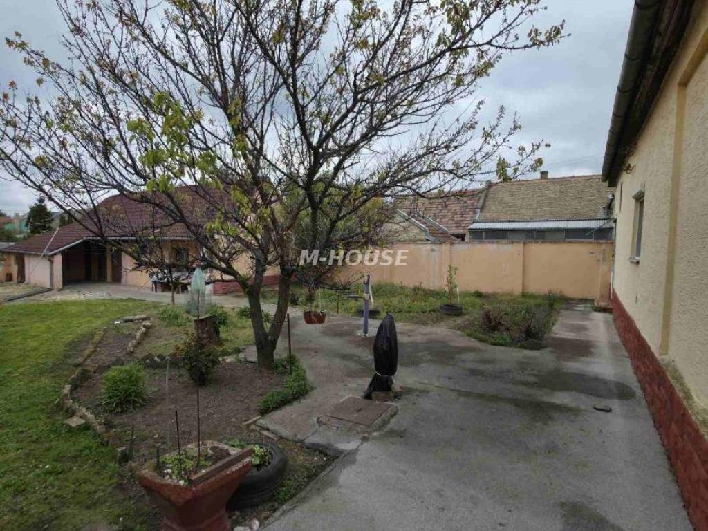 Foto 15