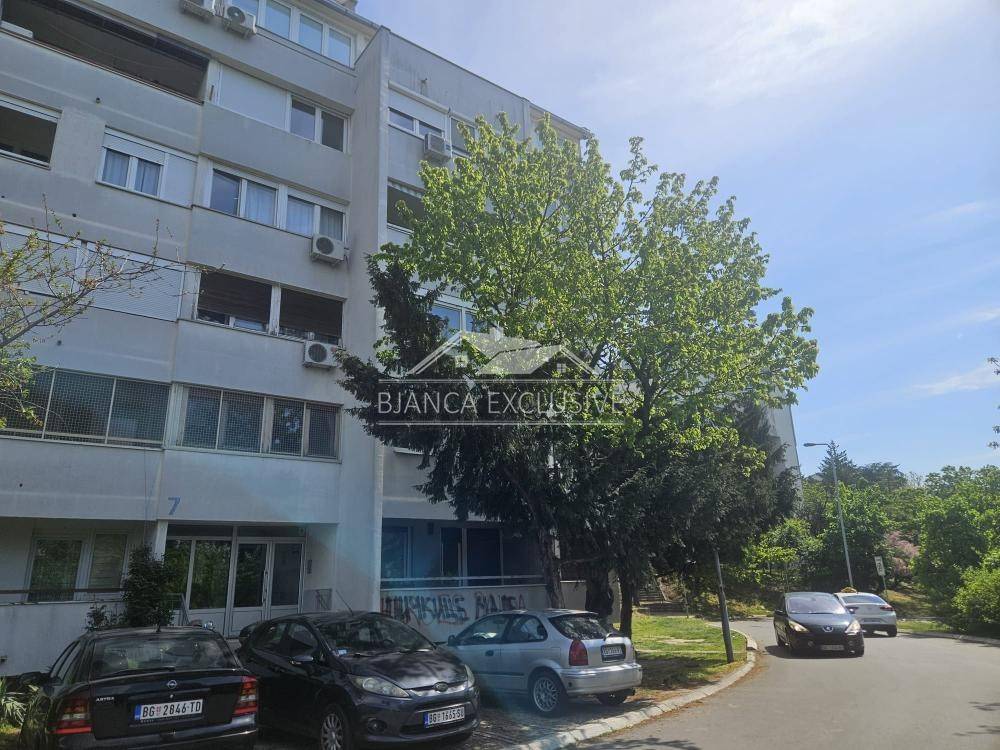 Foto 13