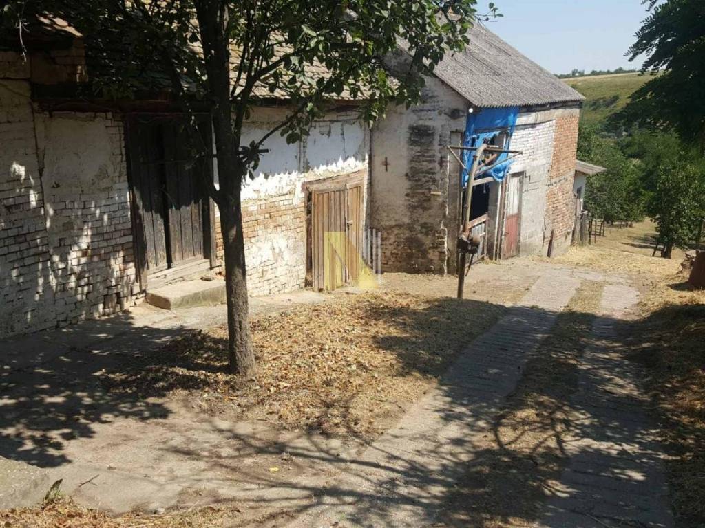 Foto 17