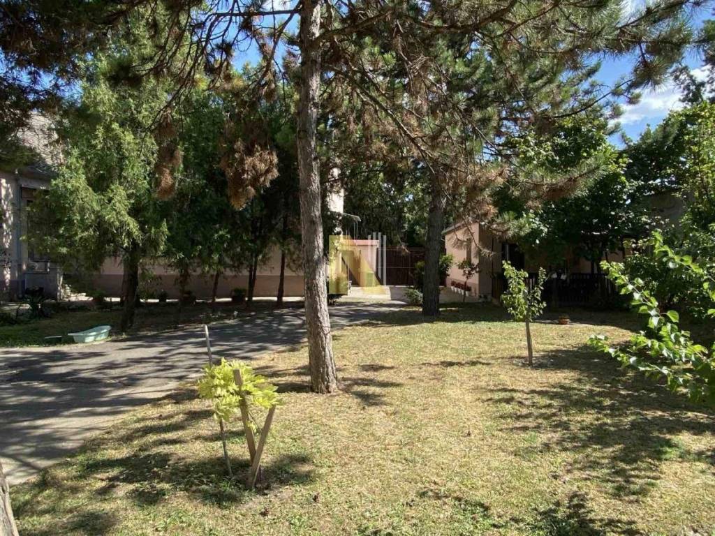 Foto 36