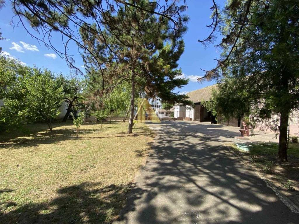 Foto 43