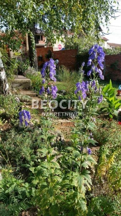 Foto 20
