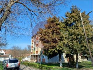 Foto 20