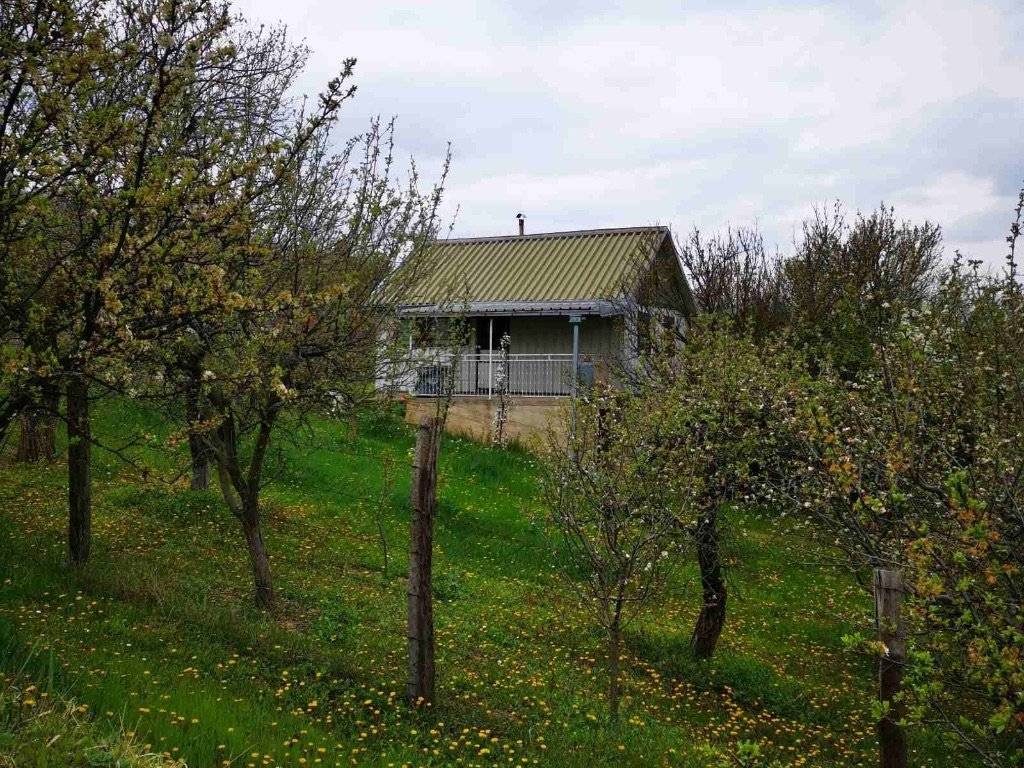 Foto 8