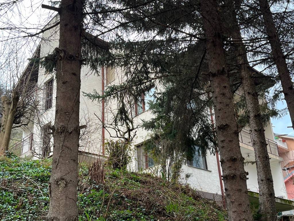 Foto 44