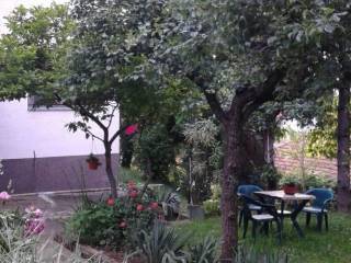 Foto 48