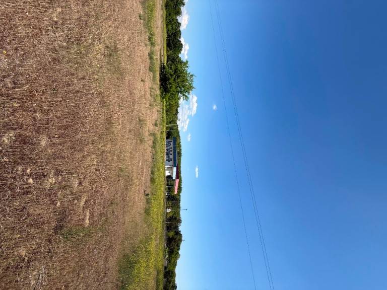 Foto 38