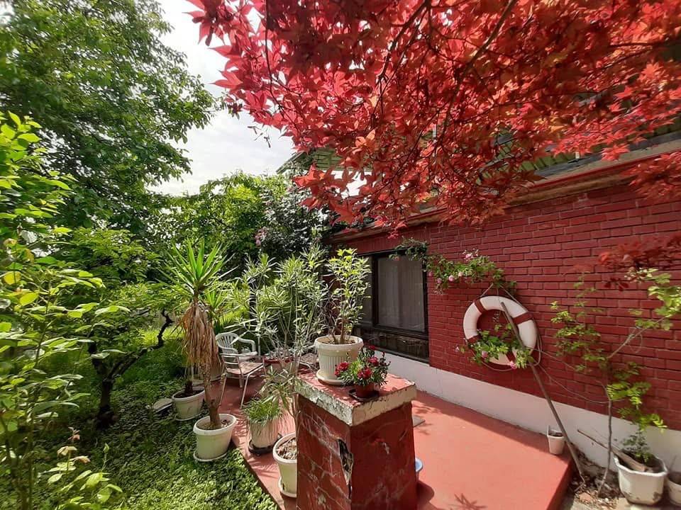 Foto 7