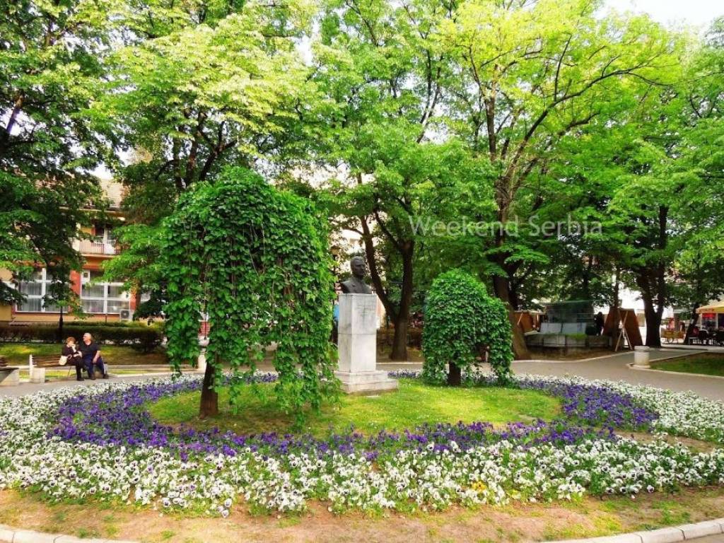 Foto 19