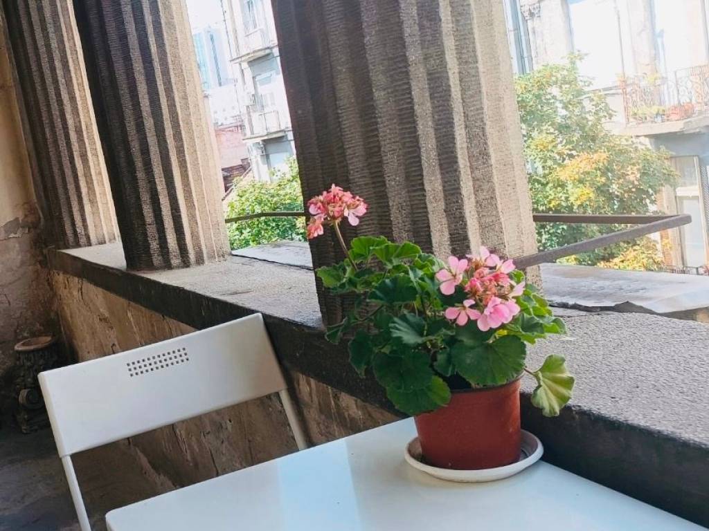 Foto 20