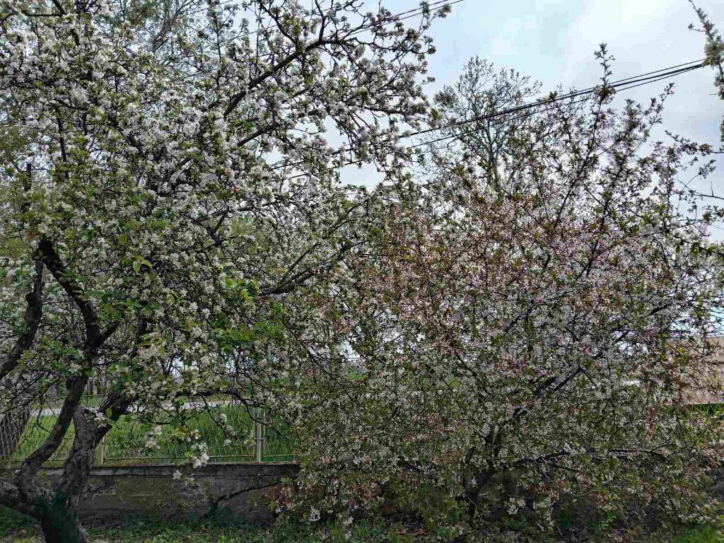 Foto 15