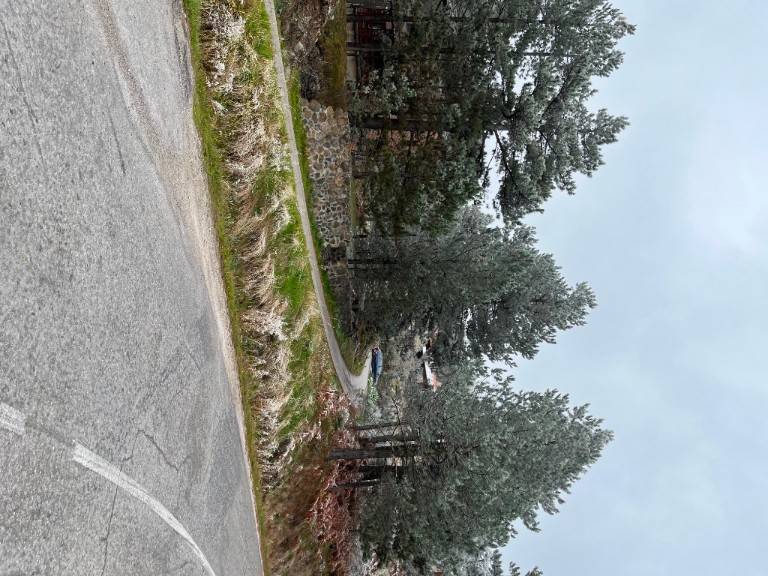 Foto 21