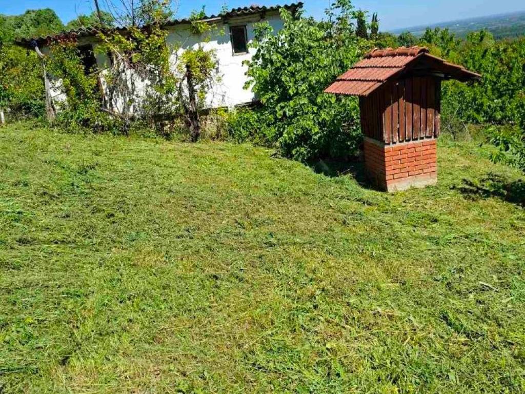 Foto 10