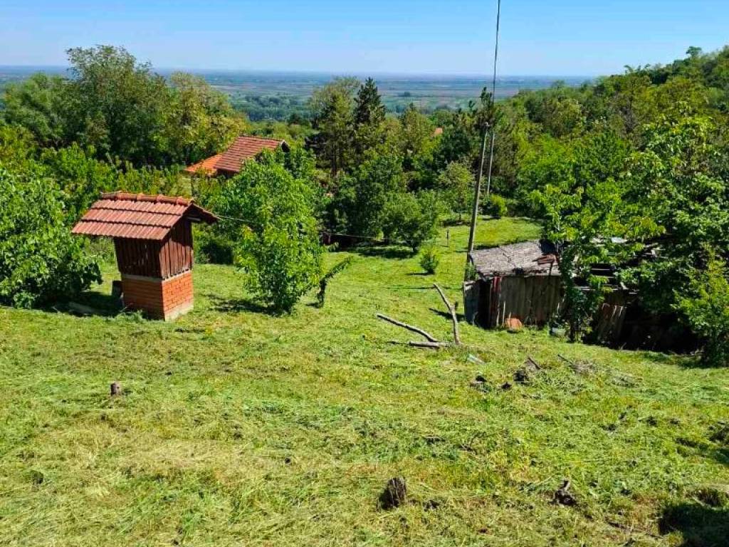 Foto 14