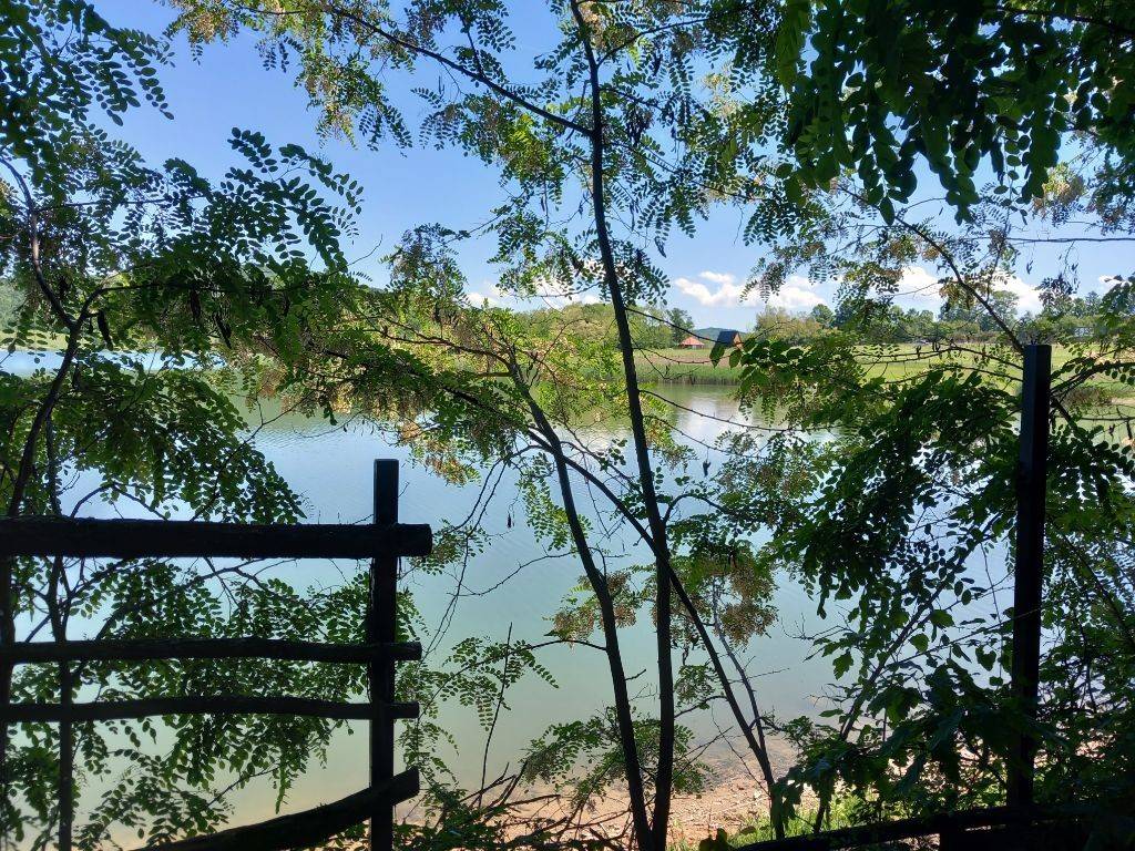 Foto 15