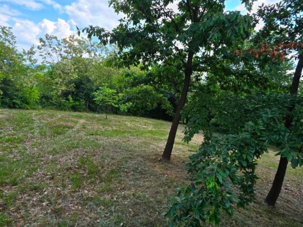 Foto 16