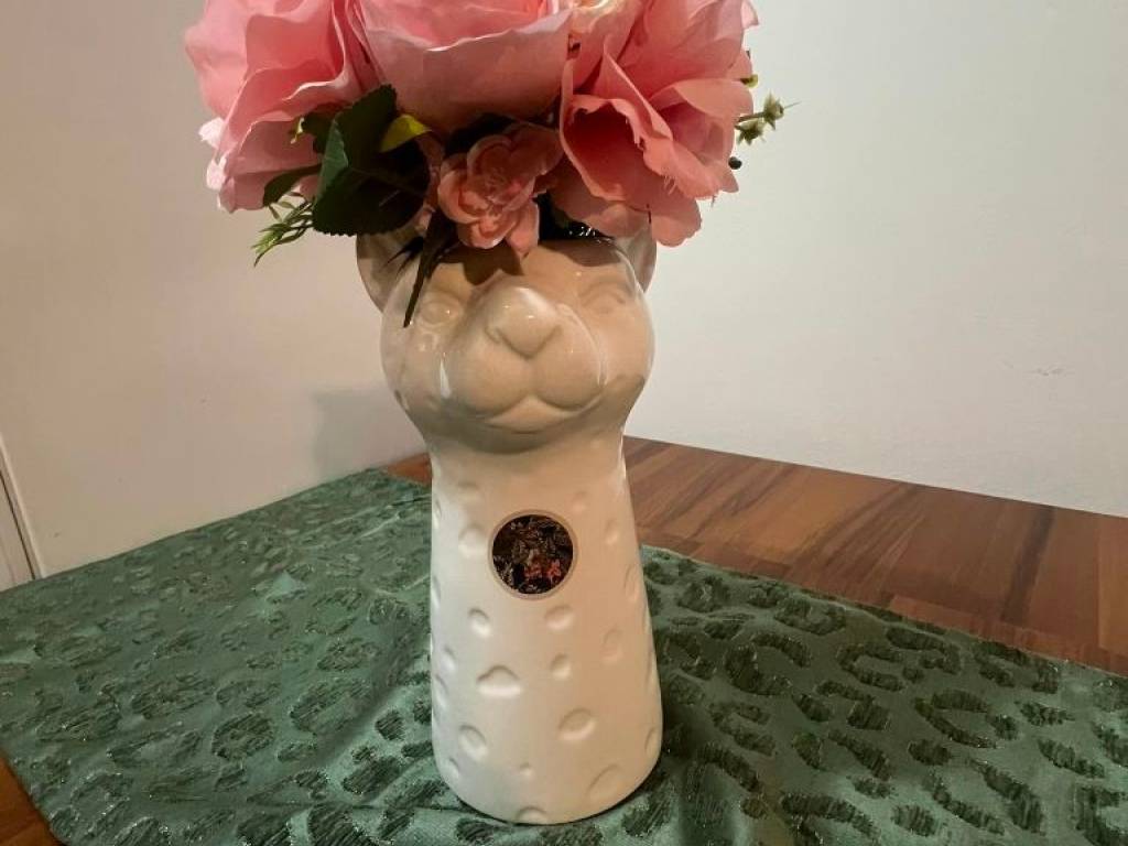 Foto 13