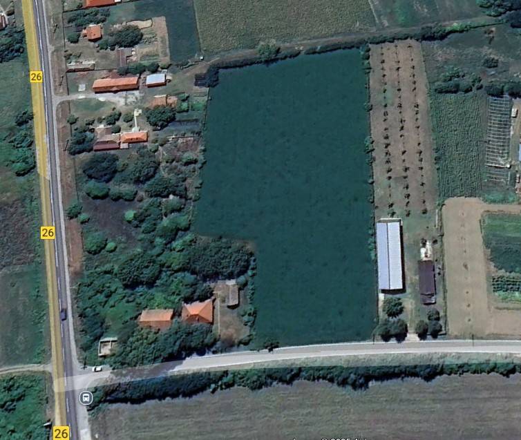 Foto 12