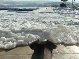 Foto 33