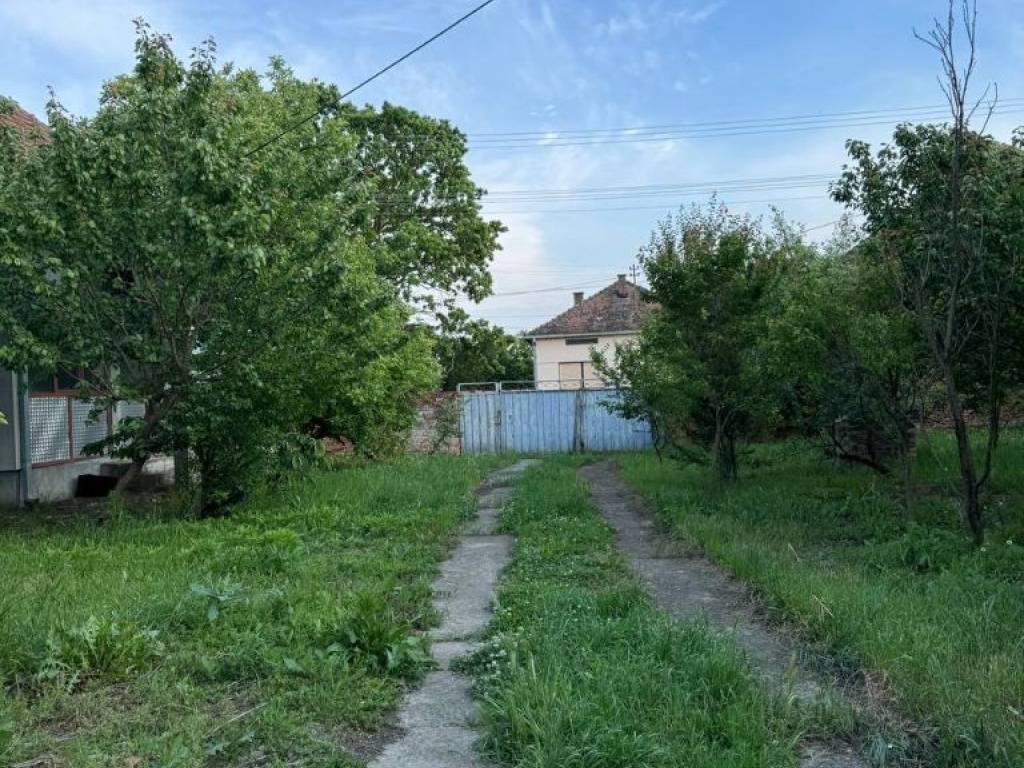 Foto 19