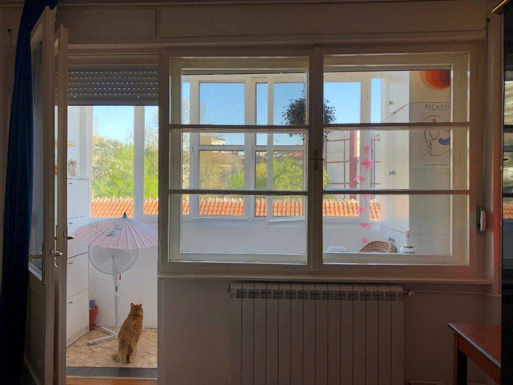 Foto 17