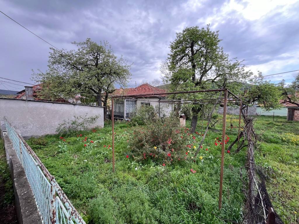 Foto 4