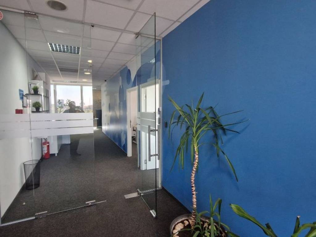 Foto 15