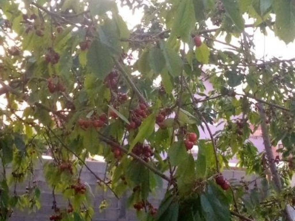 Foto 8