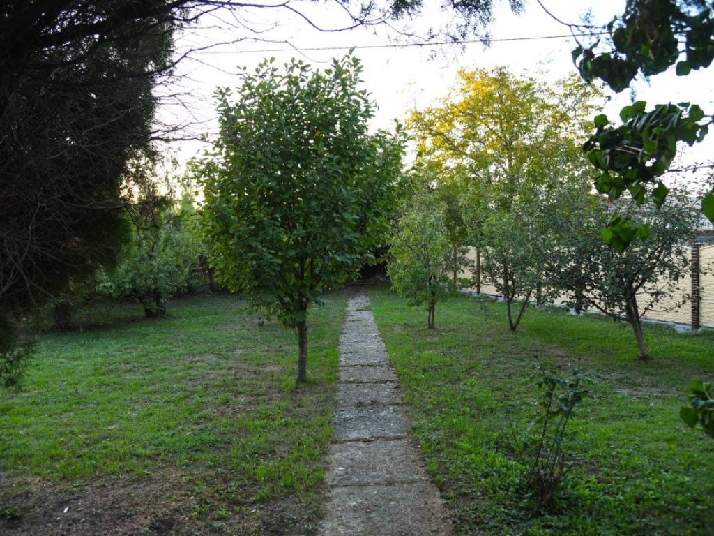 Foto 38
