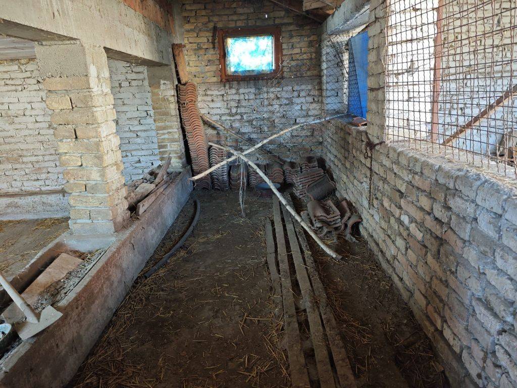 Foto 42