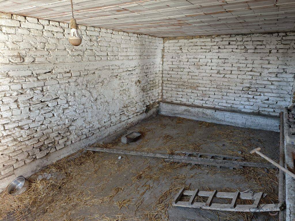 Foto 43