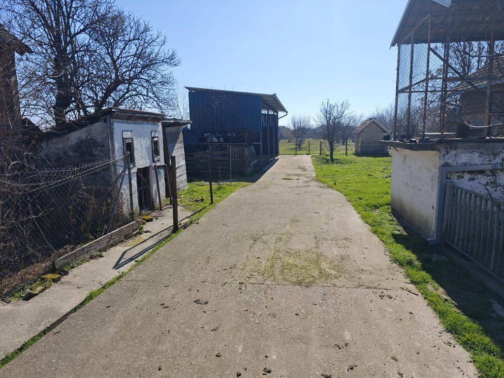 Foto 45