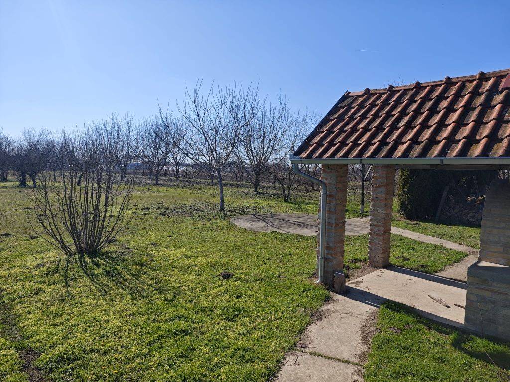 Foto 48