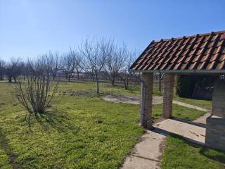 Foto 48