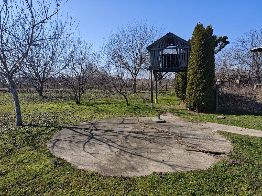 Foto 50