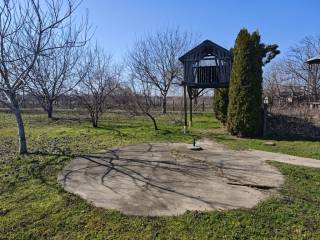 Foto 50