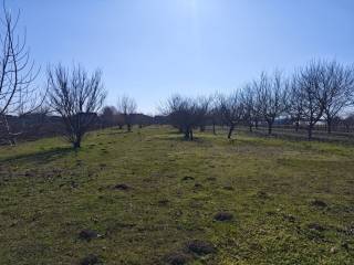 Foto 51