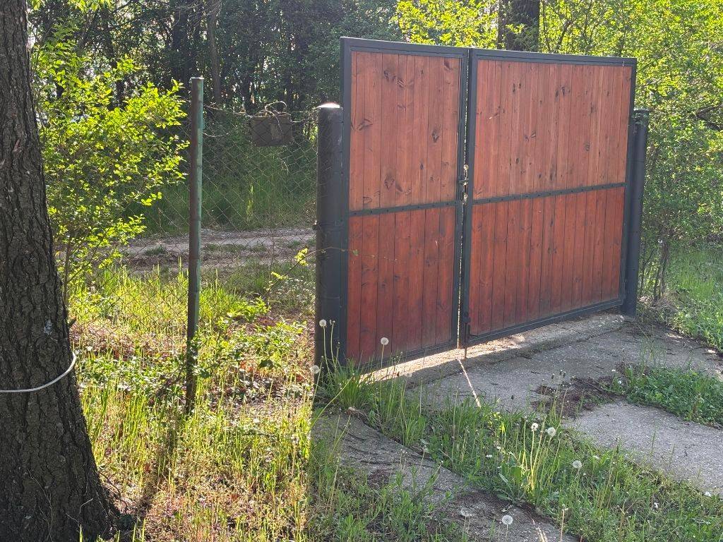 Foto 10