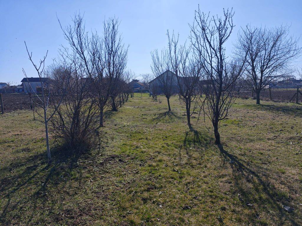 Foto 54