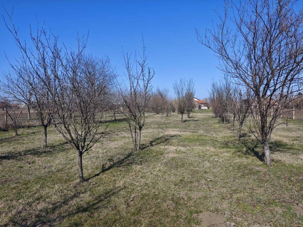 Foto 55