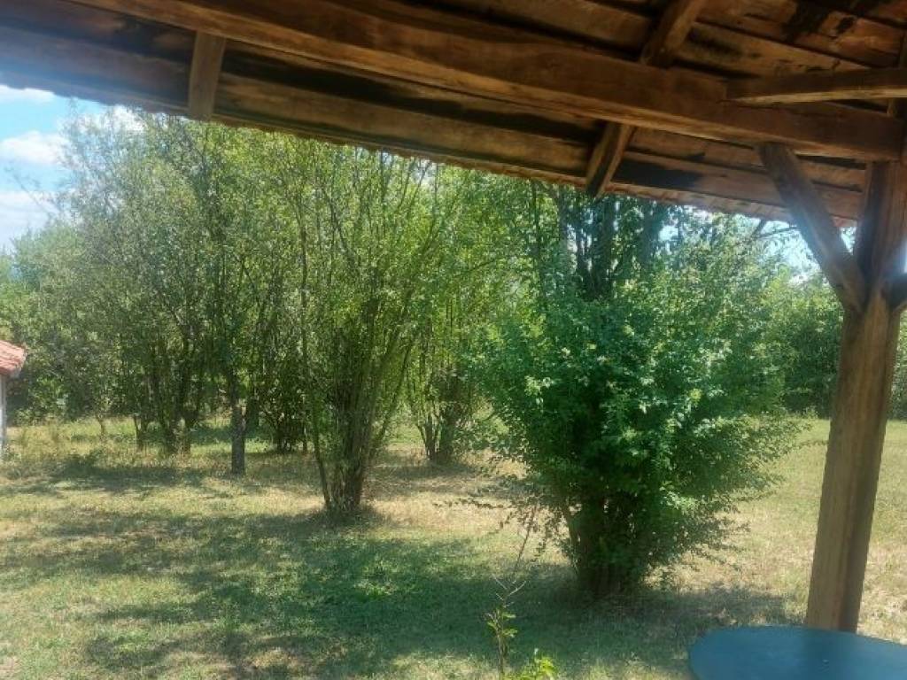 Foto 13