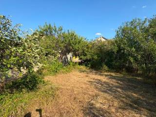 Foto 61