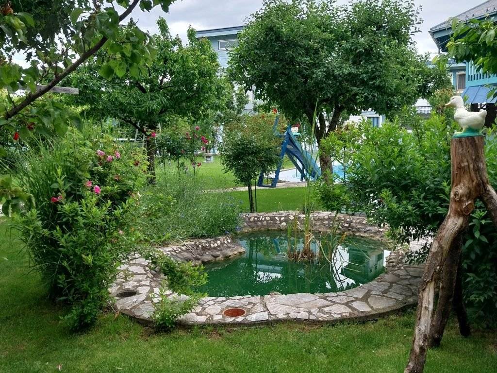 Foto 12